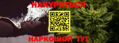 сатива Заводоуковск