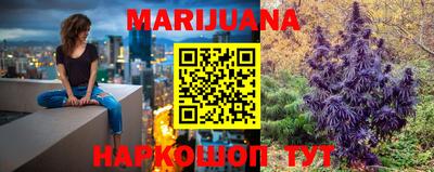 индика Заволжье