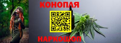 индика Заволжье