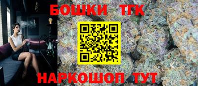 индика Заволжье
