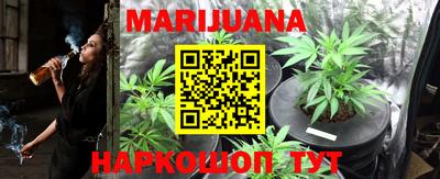 сатива Заводоуковск