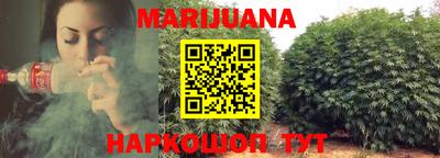 индика Заволжье