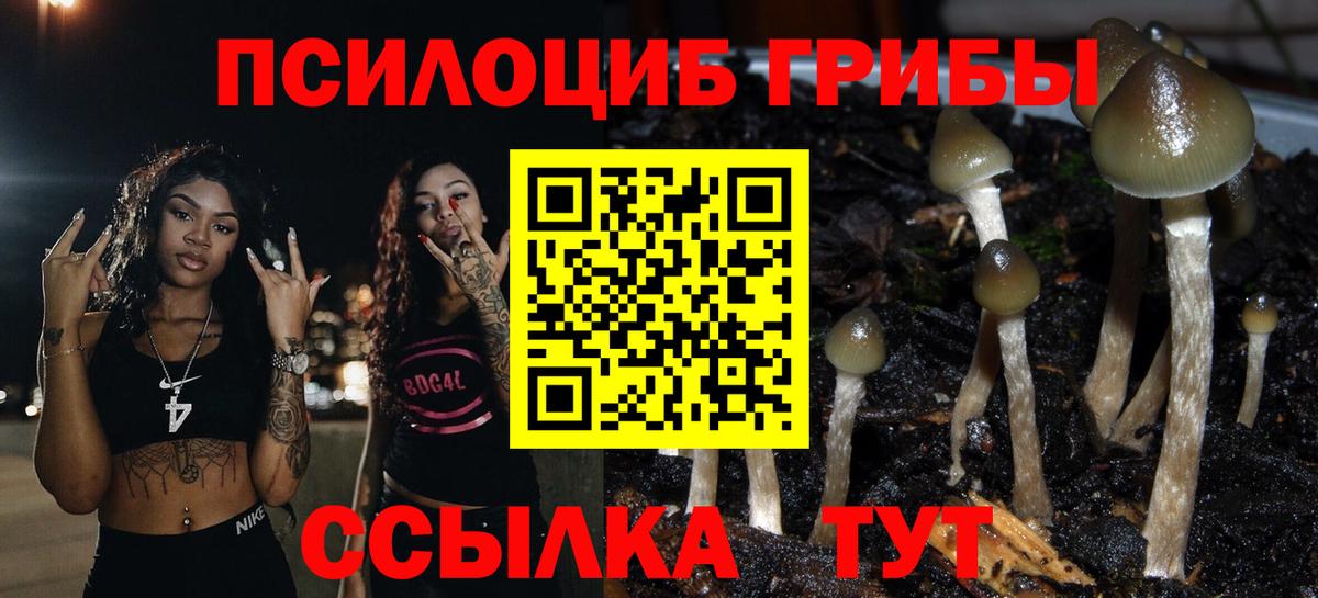 где купить   Псилоцибиновые грибы ЛСД  Вход с VPN  Менделеевск 